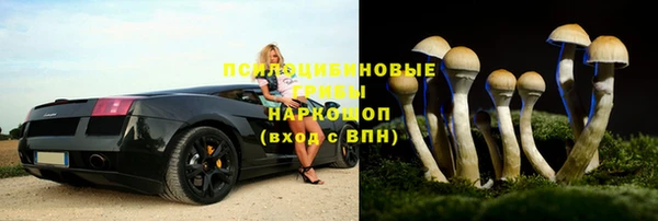 спиды Алзамай